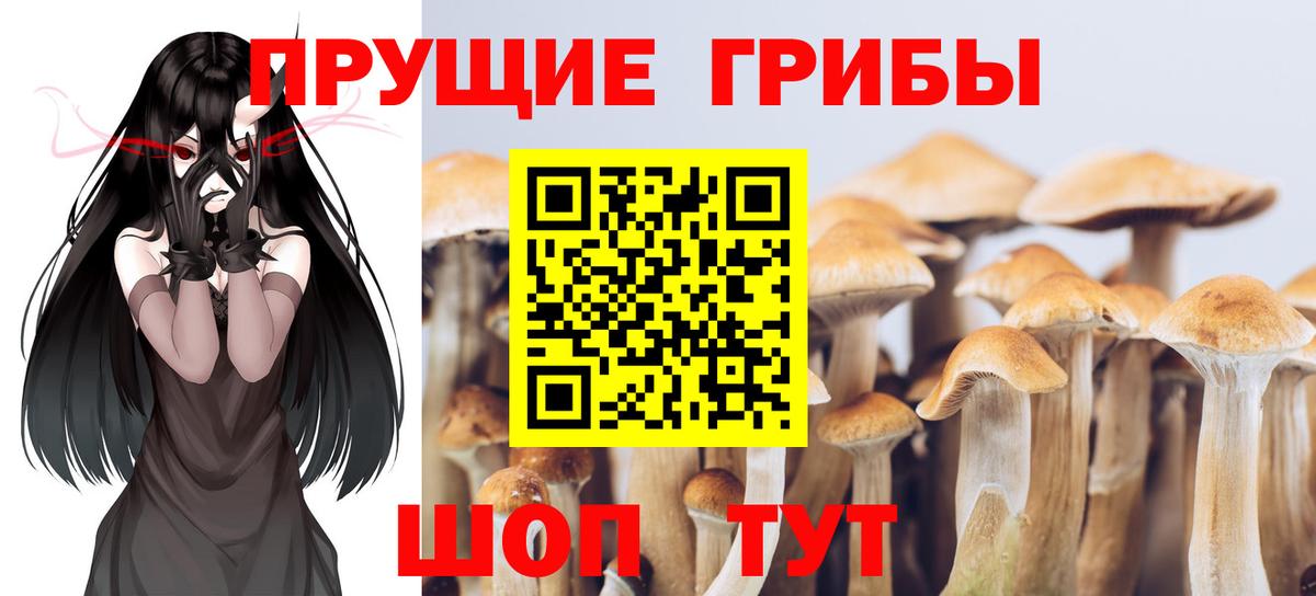Псилоцибиновые грибы Psilocybine cubensis  Вход с VPN  Миасс  даркнет сайт  Псилоцибиновые грибы Magic Shrooms 